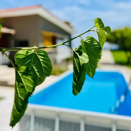 Gazonia Family Estate Guest house *