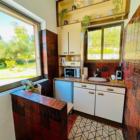 Gazonia Family Estate Gæstehus