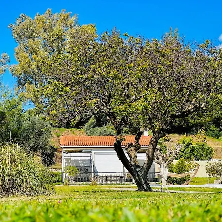 게스트하우스 Gazonia Family Estate 4*