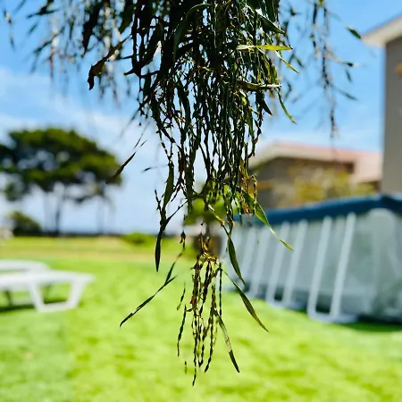 Gazonia Family Estate Skala (Kefalonia)