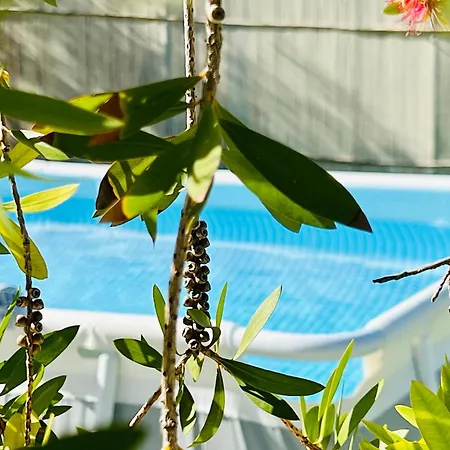 게스트하우스 Gazonia Family Estate Skala (Kefalonia)